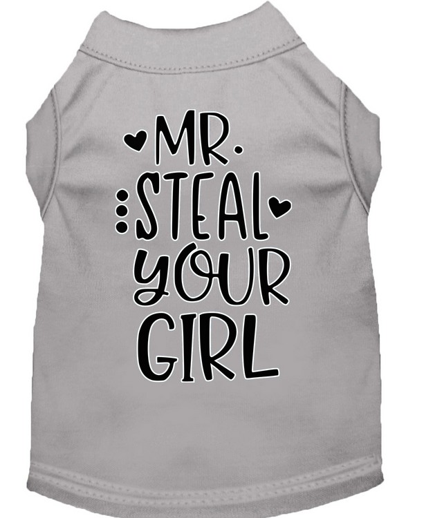 Mr Steal your Girl Screen Print Dog Shirt Grey Sm